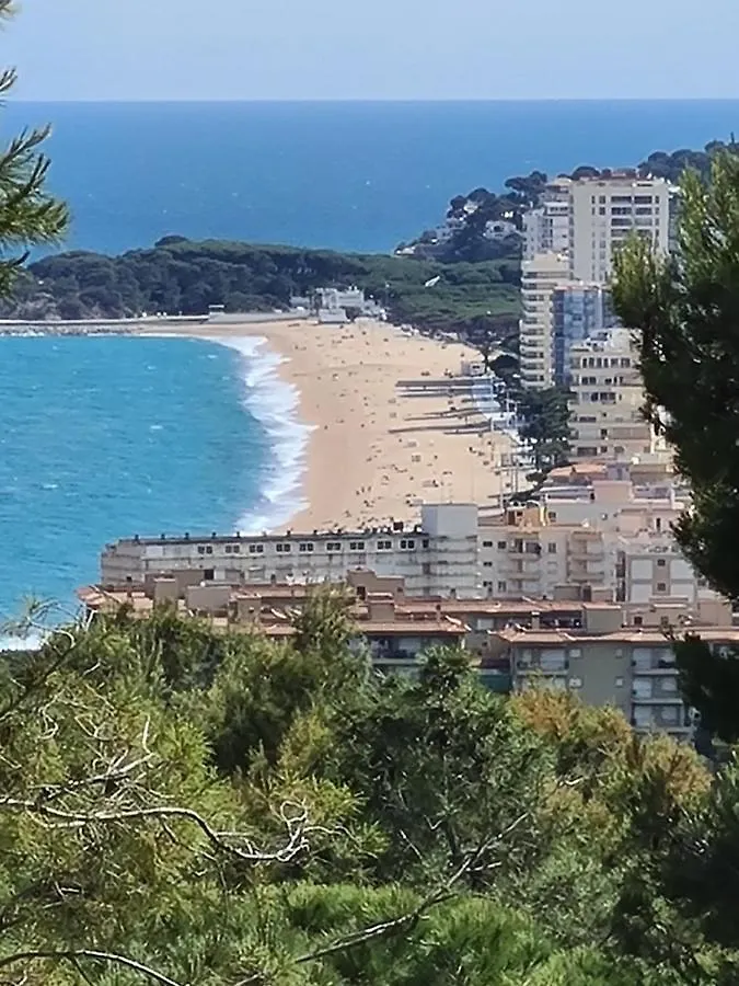 Pineda Platja D'Aro Villa el Mas Vila España